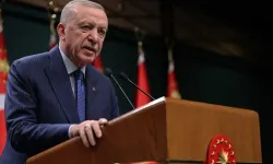 Erdoğan'dan İnsan Hakları Günü mesajı