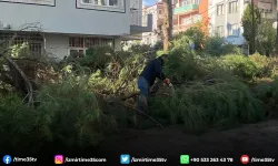 Ödemiş'te budanan ağaçlar yakacak oluyor