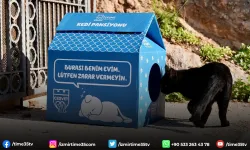 Çeşme Belediyesi’nden sokaktaki minik patilere sıcak bir yuva!