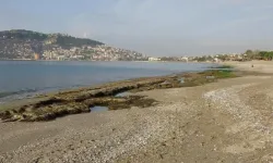 Alanya'da deniz suyu 7-8 metre çekildi