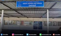 Davutlar Mahallesi’ne kedi kısırlaştırma merkezi açılıyor