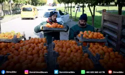 Kuşadası’nda turunç meyvesinin en tatlı yolculuğu başladı