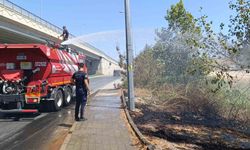 Araçtan atılan sigara yol kenarında yangın çıkardı