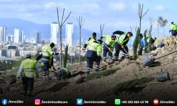 Başkan Tugay’ın başlattığı ağaçlandırma seferberliği sürüyor