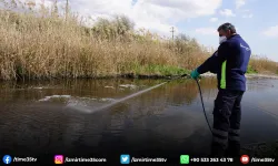 Kemalpaşa Belediyesi’nden haşere ve sineklere karşı etkin mücadele!