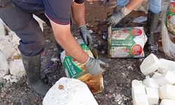 İzmir'de 7 ton bozuk peynir ele geçirildi