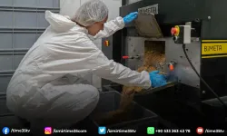 Atıklar mamaya, israf iyiliğe dönüşüyor