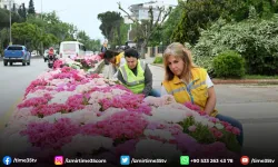 Başkan Çerçioğlu Efeler'i bahar çiçekleri ile süsledi