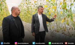 Buca’da sabotaj girişimine karşı toplu fide dikimi yapılacak