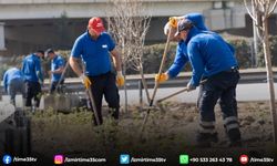 Büyükşehir’den kavşaklarda ağaçlandırma seferberliği