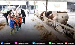Çiğli Belediyesi’nden çocuklara doğa ve hayvanlarla iç içe unutulmaz bir gün