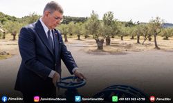 Dikili’de toprak suyla buluştu, üretici bayram sevinci yaşadı