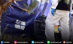Foça'da bahçe sınırı tartışmasında kan aktı