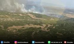 Foça'da tarım arazisinde başlayan yangın ormana sıçradı