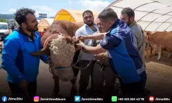 Gaziemir’de kurban satış yerlerinde sıkı denetim