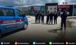 Hapis cezasıyla aranan 2 şahsı jandarma yakaladı