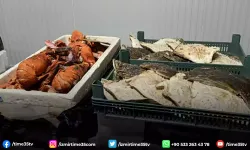 İzmir'de su ürünleri denetimlerinde ceza yağdı