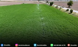 İzmir'de sulama sezonu açıldı!