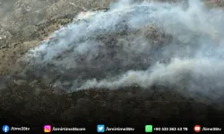İzmir'de zeytinlik alandaki yangın kontrol altında