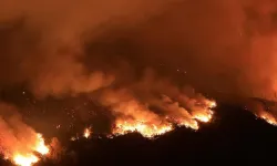 Kanada'da orman yangını: 17 bin kişi için tahliye emri