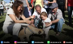 Karşıyaka’da can dostlarla yaza merhaba!