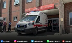 Kenenin ısırdığı minik Metehan hayatını kaybetti
