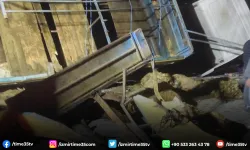 Kurbanlıkları taşıyan tır devrildi
