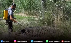 Kuşadası Belediyesi halk sağlığı için mücadelesini sürdürüyor