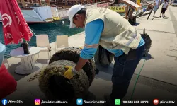 Kuşadası’nda denizden 628 kilogram katı atık çıkarıldı