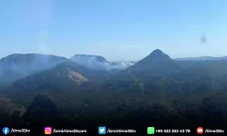 Marmaris’te orman yangını