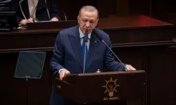 Cumhurbaşkanı Erdoğan: Yetki paylaşımı gözden geçirilmeli