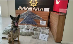Şanlıurfa'da 101 kilogram uyuşturucu ele geçirildi