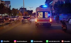 Yola fırlayan kedi kazaya neden oldu