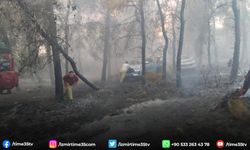 Aliağa ve Foça'da orman yangınında ekiplerin zorlu mücadelesi