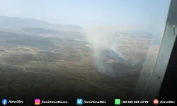 Aliağa'da ziraat arazilerinde yangın