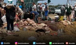 Balçova kurban pazarında hijyen skandalı