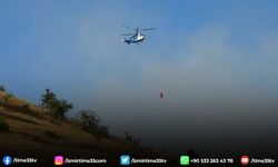 Balıkesir'deki orman yangınları kontrol altında