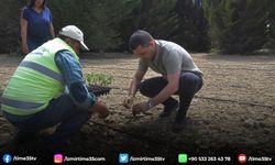 Başkan Günel’in tarımsal projeleri sofralara sağlık katıyor
