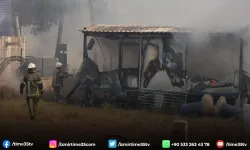 Bornova’daki orman yangını kontrol altına alındı