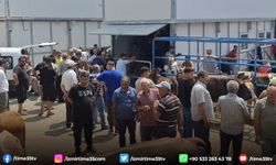 Büyükşehir’den bayramda güvenli ve hijyenik kesim hizmeti