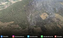 Foça'da ormanlık alanda çıkan yangın kontrol altında