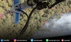 İzmir Foça'da orman yangını