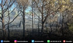 İzmir İtfaiyesi’nin çabalarıyla tüm yangınlar kontrol altına alındı