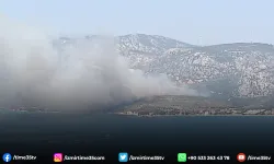 İzmir'de orman yangını: Havadan ve karadan müdahale