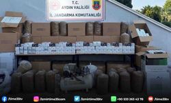 Jandarmadan sigara kaçakçılarına darbe