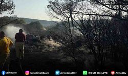 Mangal yakarak orman yangınına neden olan şahıs tutuklandı