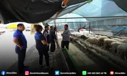 Menderes zabıtasından kurban denetimi
