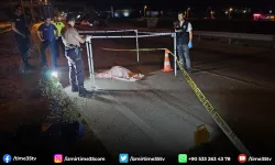Otomobilin çarptığı yaşlı kadın hayatını kaybetti