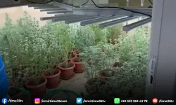 Villayı kenevir bahçesine çevirmişler