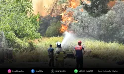 Bornova’da orman yangınına müdahale aralıksız sürüyor